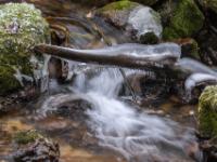 Mächtiger Eispanzer an verkeiltem Ast über dem Steinbach